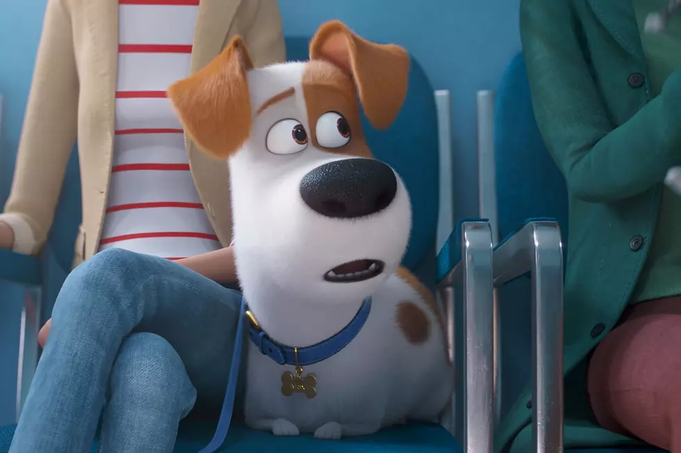 I Was Not Emotionally Prepared For ‘The Secret Life of Pets 2’