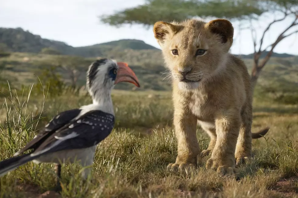 ‘The Lion King’ Remake Is Now Available on Disney Plus