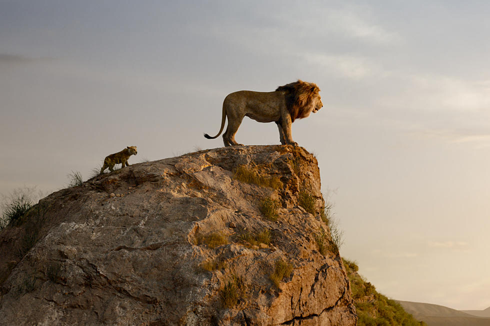 ‘The Lion King’ Review: No, I Cannot Feel the Love Tonight