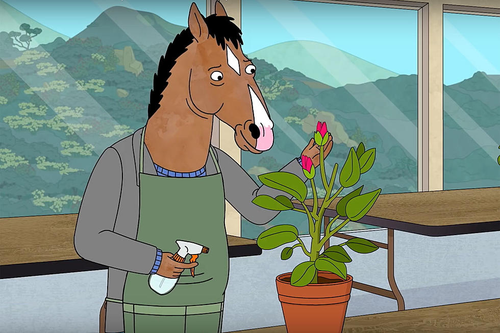 Aaron Paul Reveals Netflix Canceled ‘BoJack Horseman’