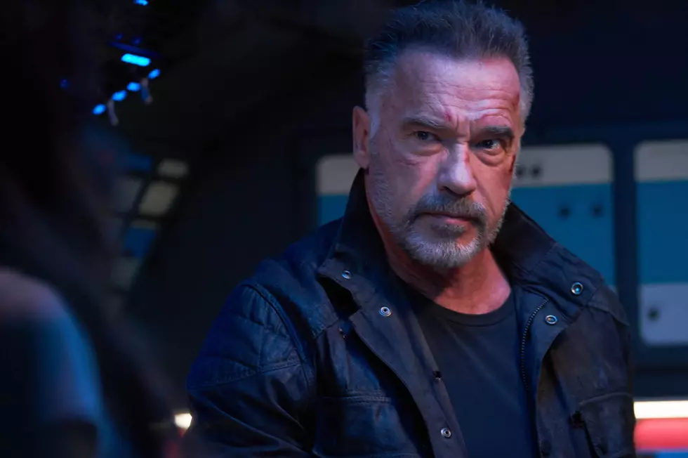 Arnold Schwarzenegger Will Star In Spy Series For Netflix
