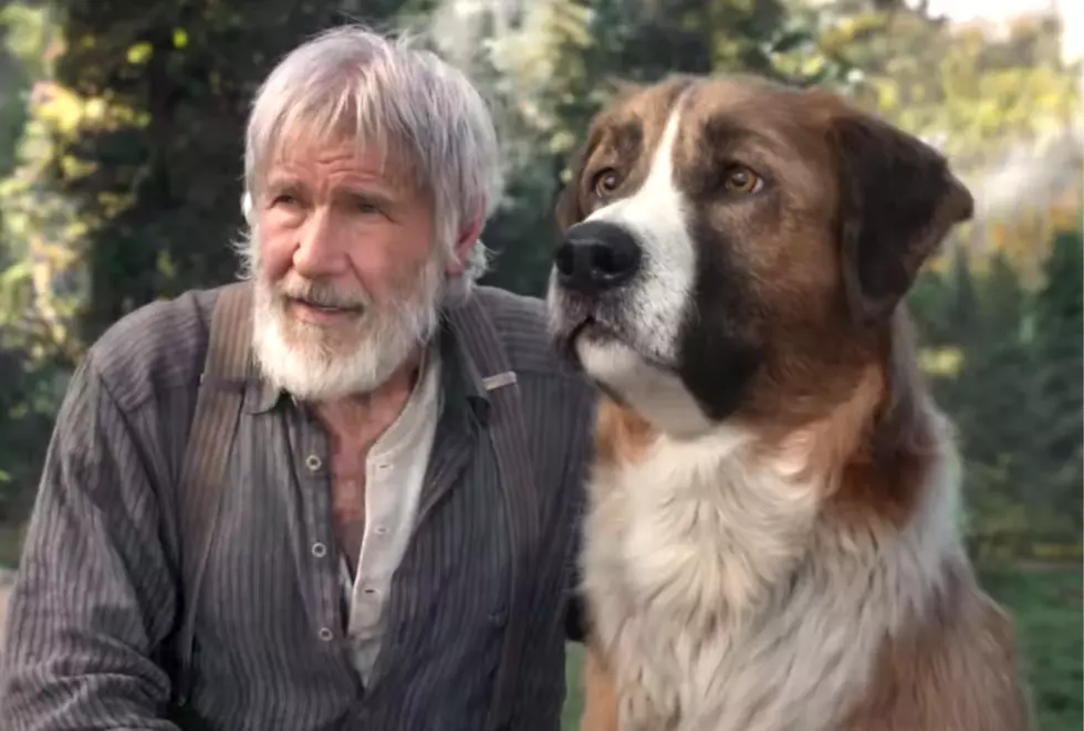 Harrison Ford Stars Alongside CGI Dog in &#8216;The Call of the Wild&#8217;