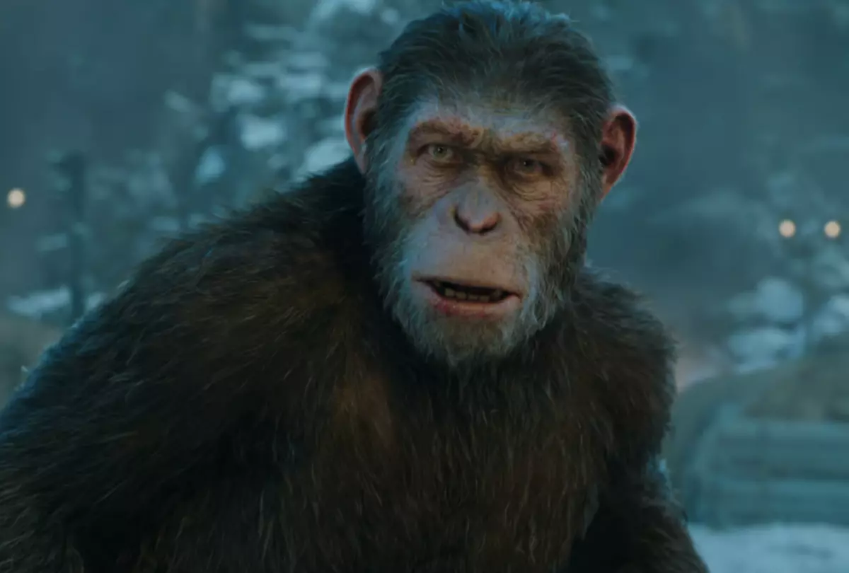 Fox Plans New Return to of the Apes’