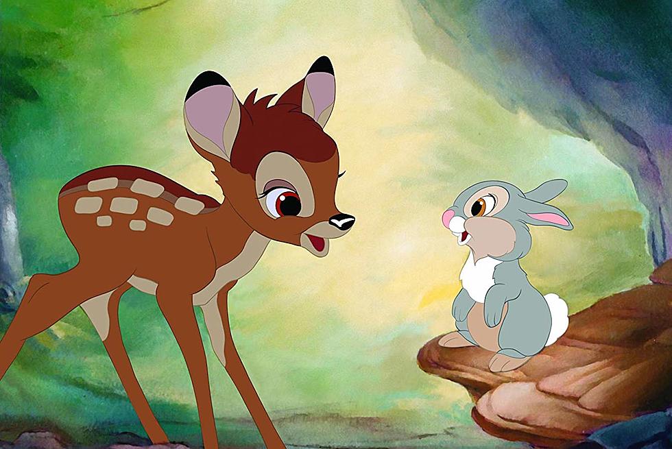 Disney Plans ‘Bambi’ Live-Action Remake