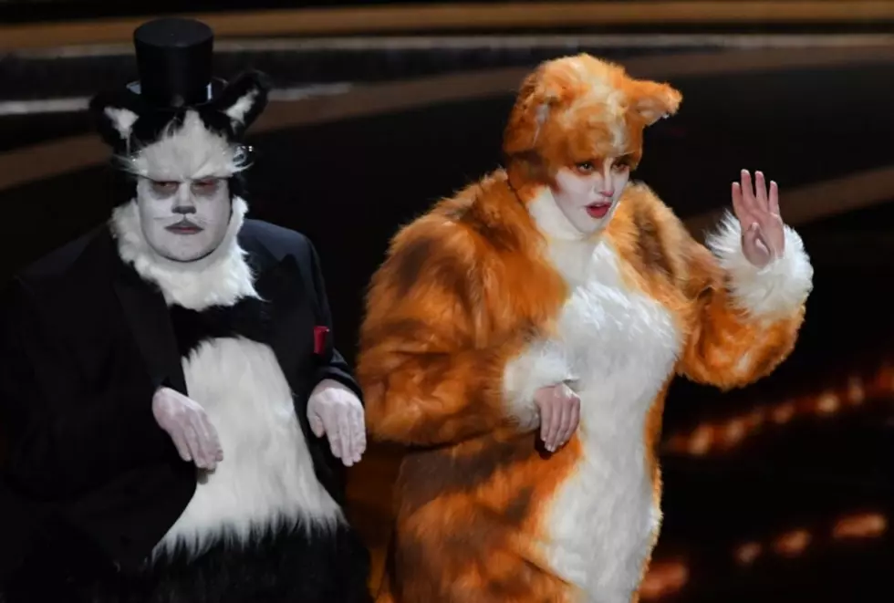 Visual Effects Artists Are Not Happy With the Oscars’ ‘Cats’ Jokes
