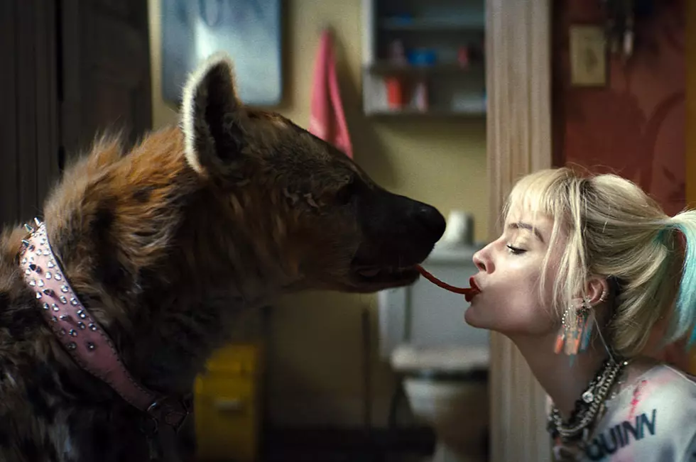 ‘Birds of Prey’ Is Coming Early to VOD