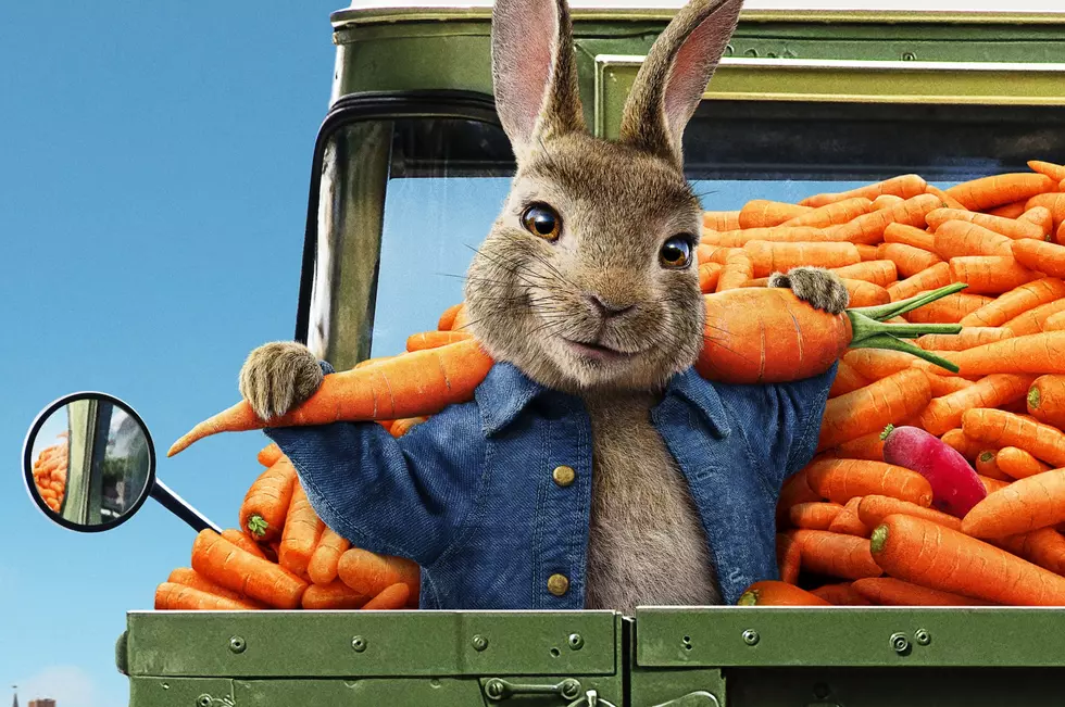 ‘Peter Rabbit 2’ Release Delayed to Summer Over Coronavirus