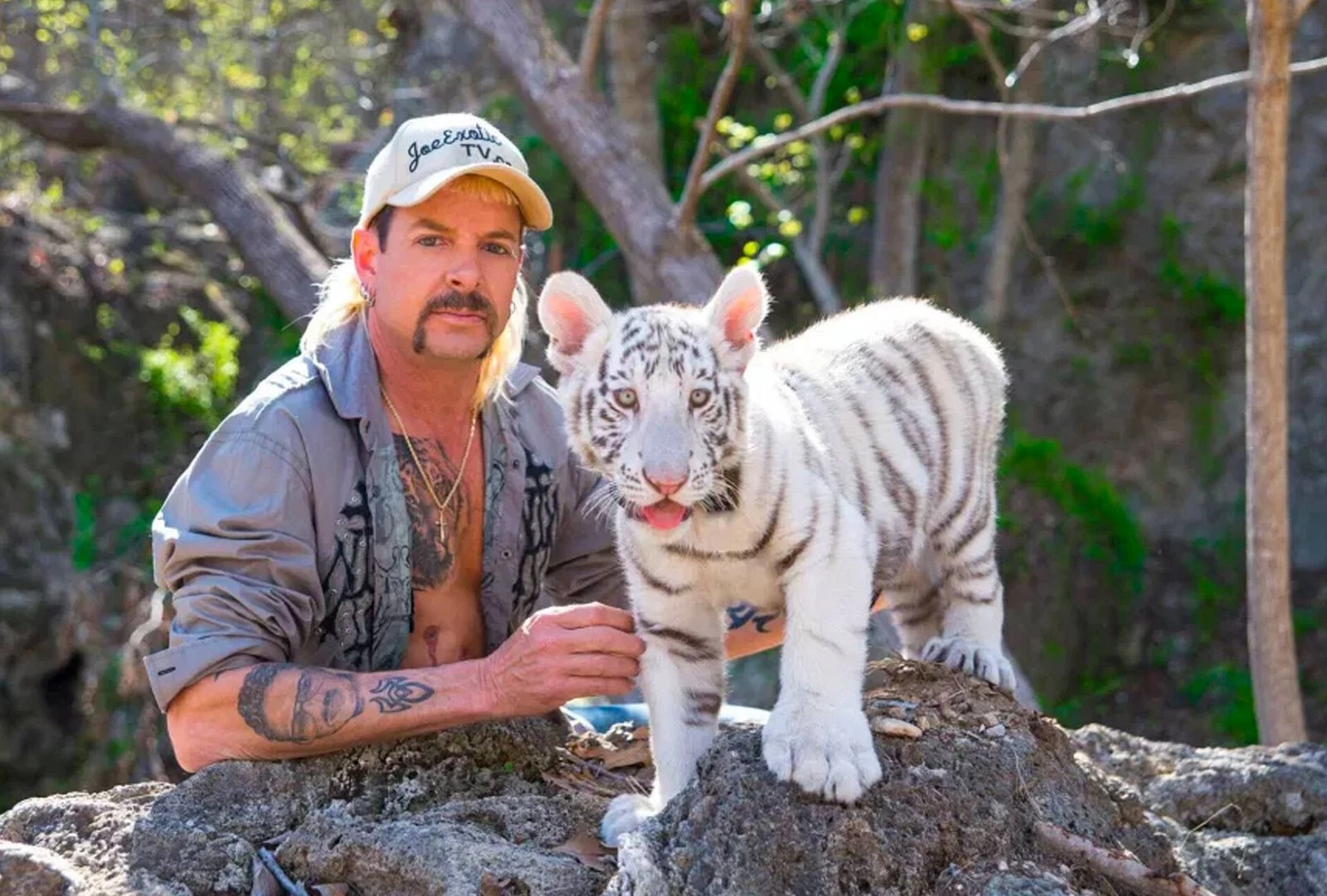 tiger king safari