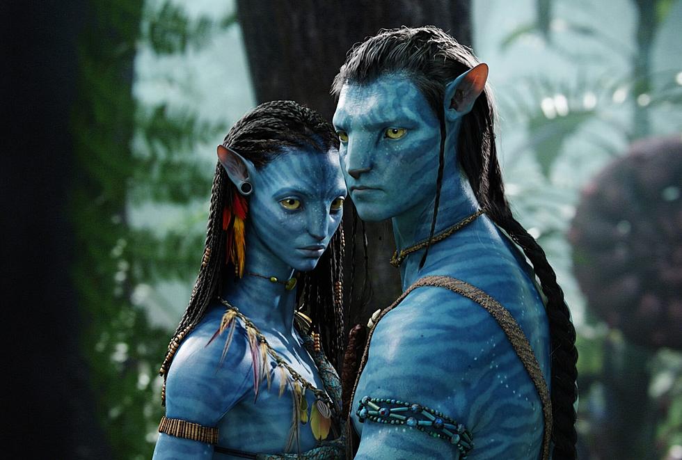 back to work on Avatar 2