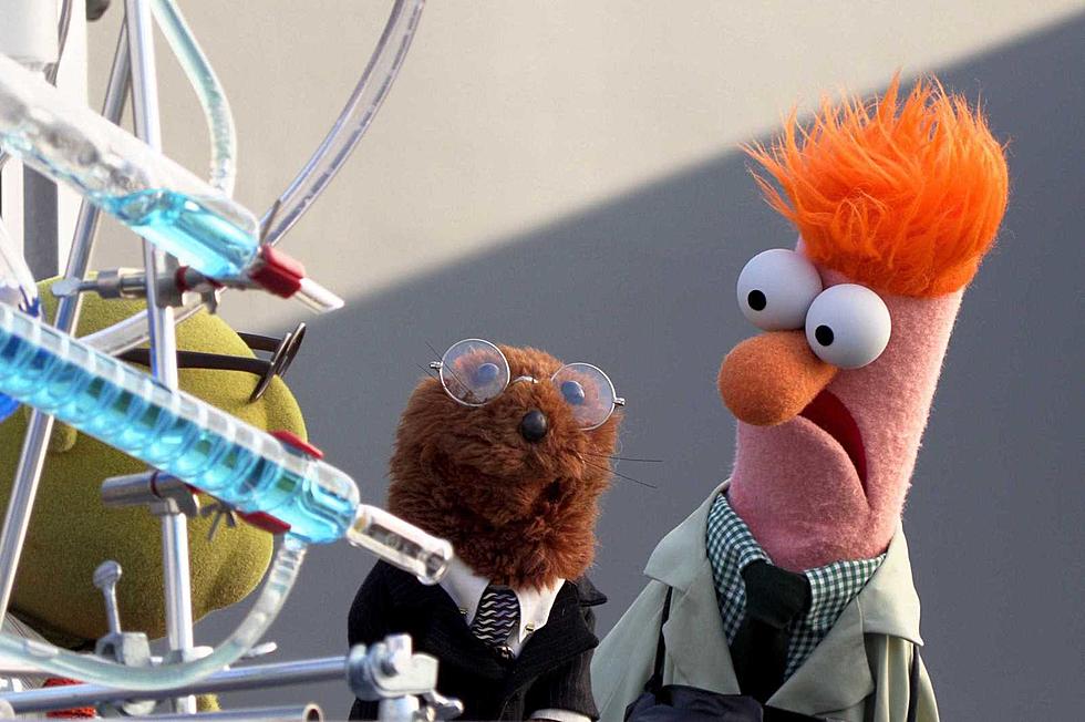 ‘Muppets Now’ Trailer: The Muppets Try Improv
