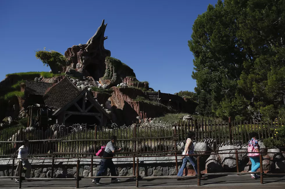 Disney Fans Sell Water From Splash Mountain After Ride Closes