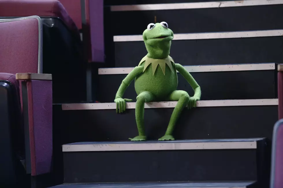 Watch Kermit the Frog Revealed as ‘The Masked Singer’s Snail