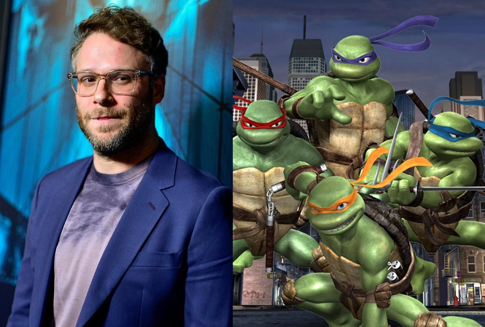 Seth Rogen The Teenage Mutant Ninja Turtles Movie