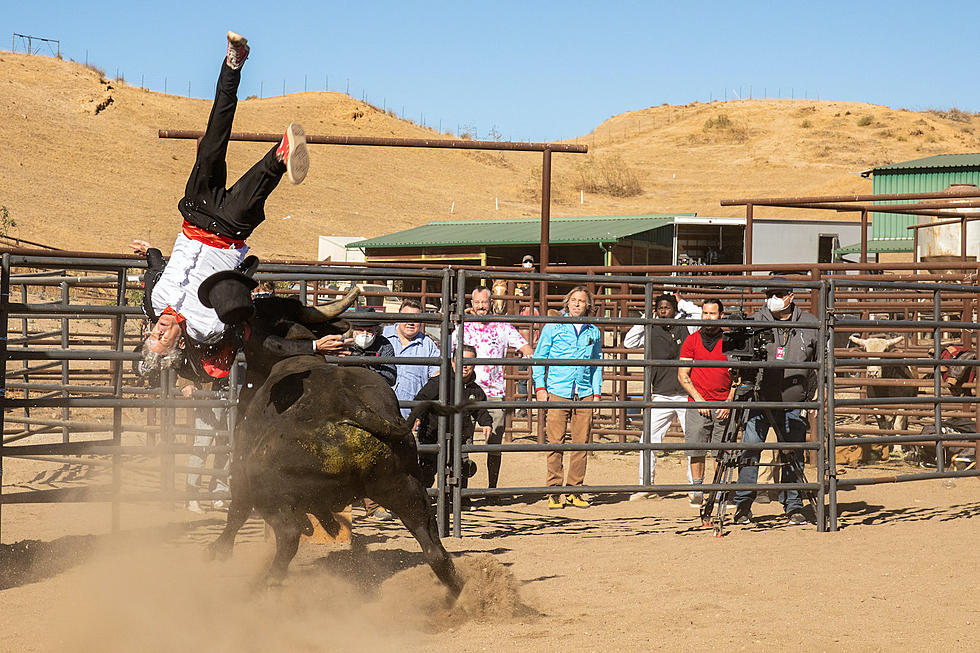 ‘Jackass Forever’ Trailer: They’re Older, But Not Wiser