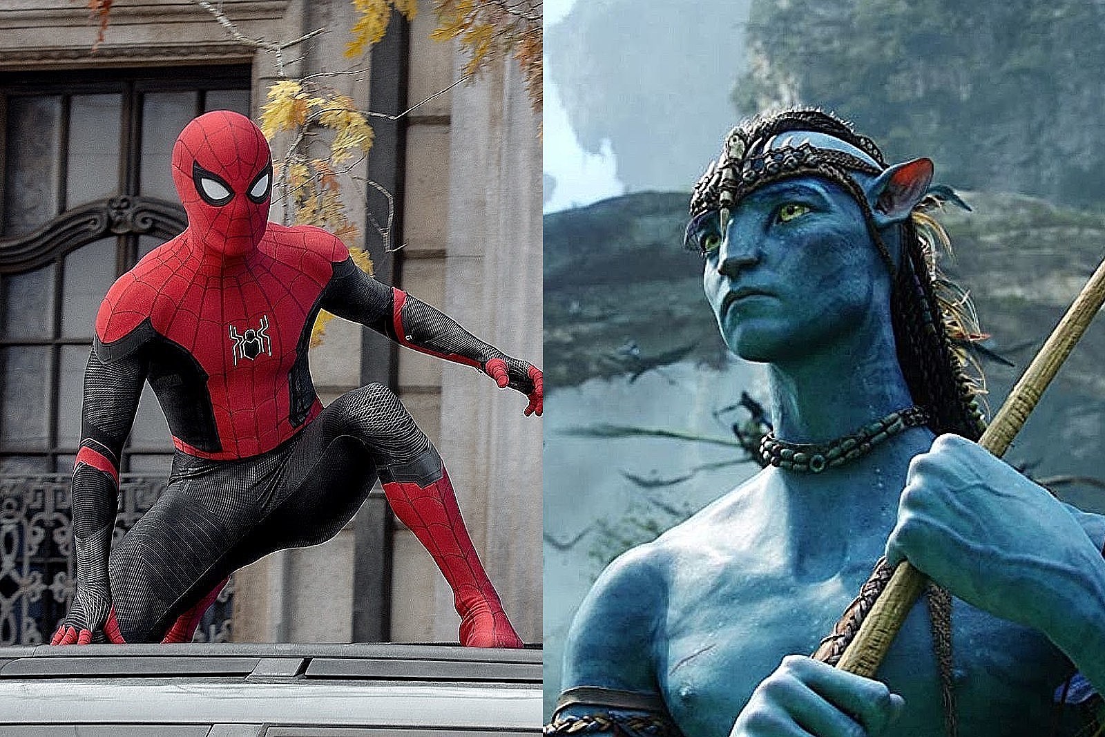 Spider Man Passes Avatar S Original Box Office Total