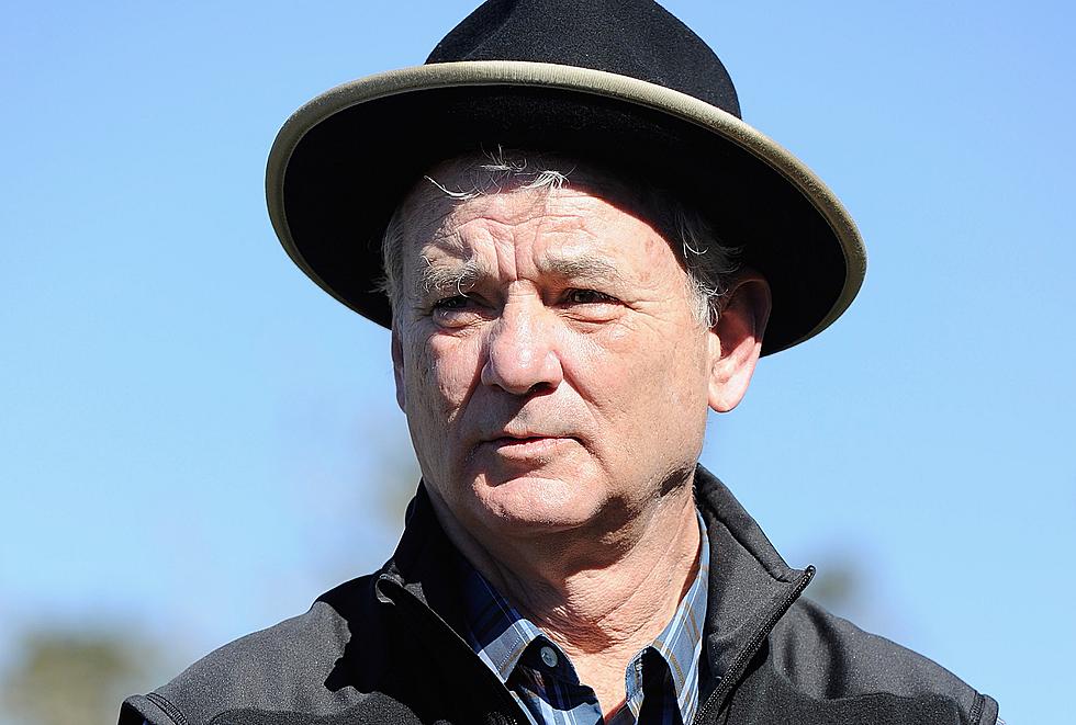 Report: Complaint Against Bill Murray Shuts Down Production on New Movie