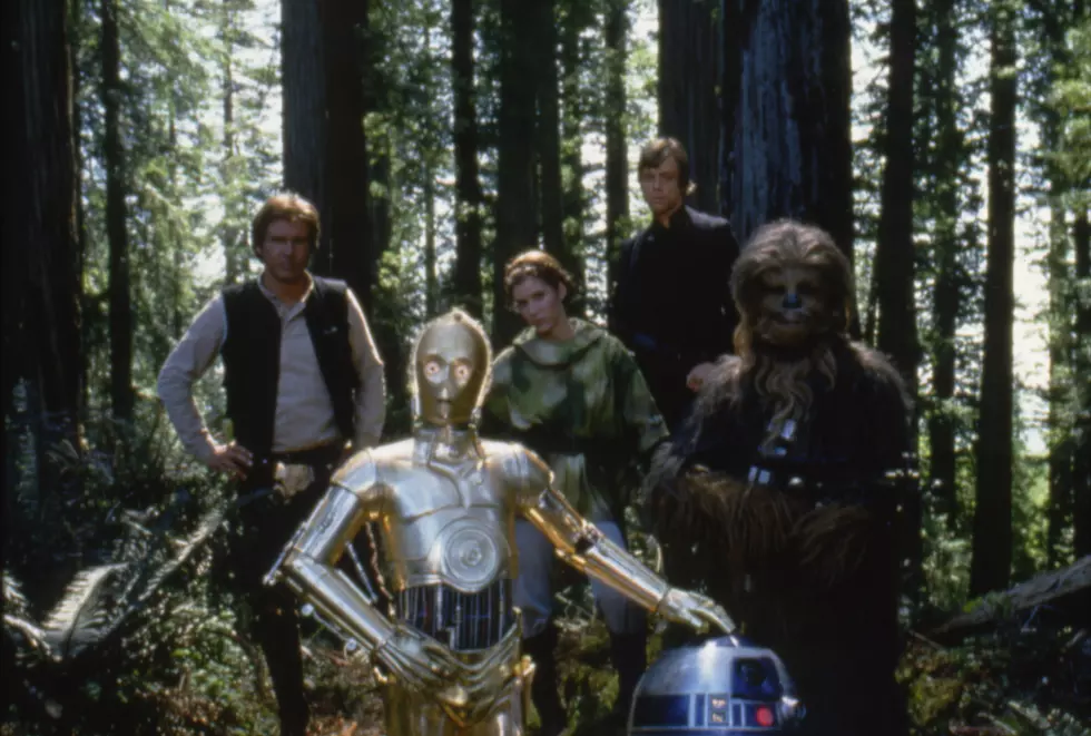 The Ewoks’ Forest From ‘Return of the Jedi’ Was Totally Destroyed