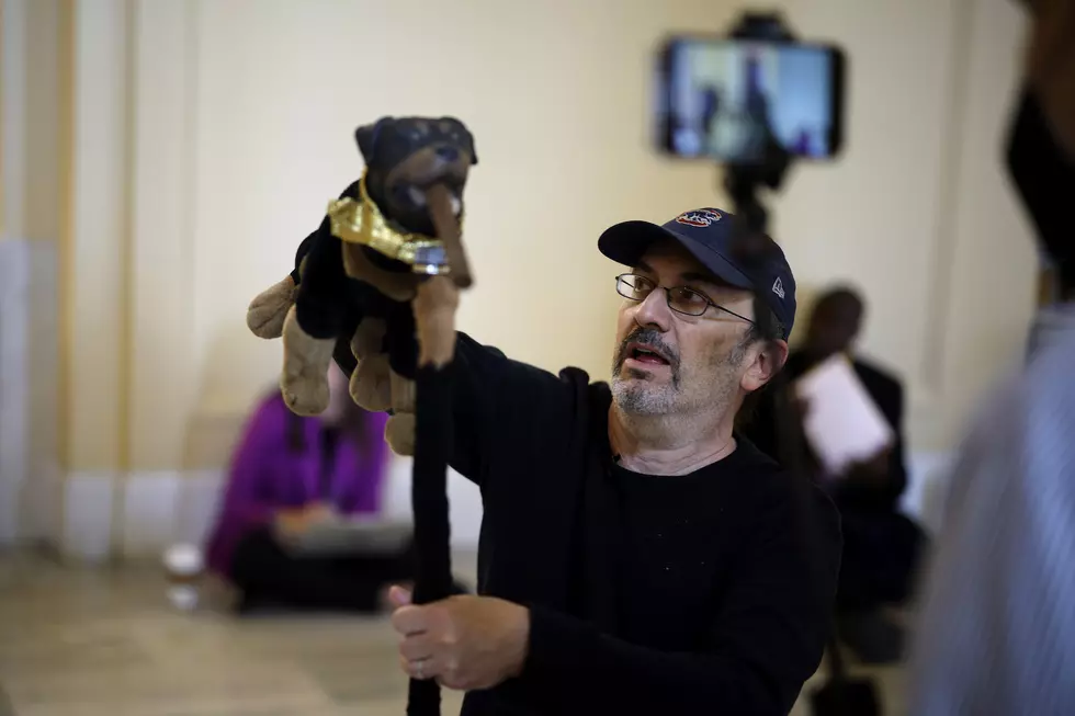 Triumph the Insult Comic Dog Arrested at U.S. Capitol For Unlawful Entry