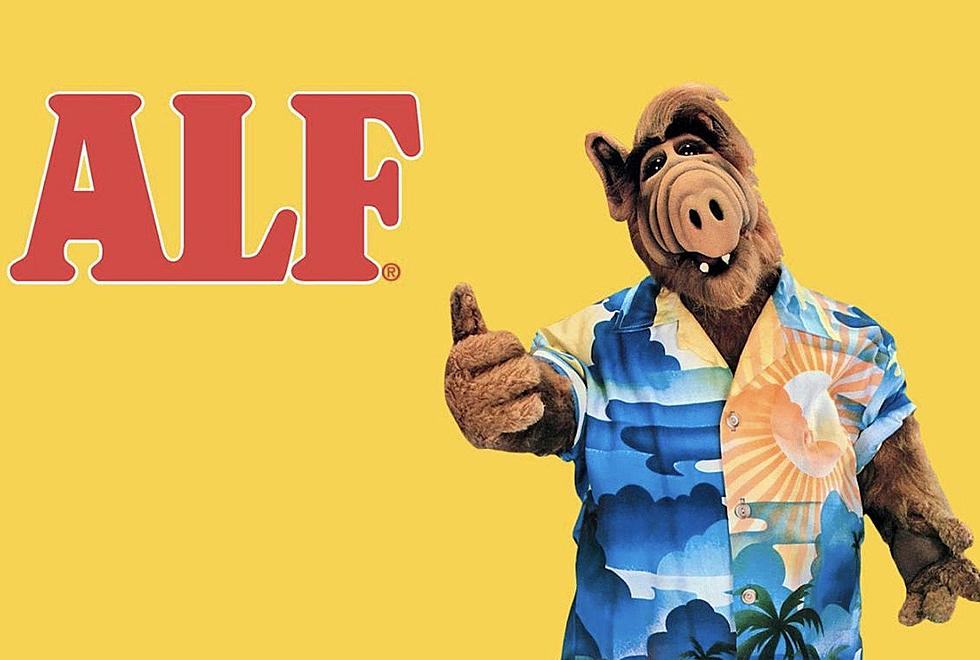 ‘ALF’ Revived For New TV Segments