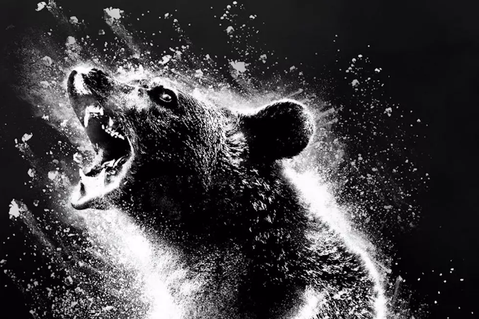 Get Ready for ‘Cocaine Bear,’ The Movie About a Bear on Cocaine