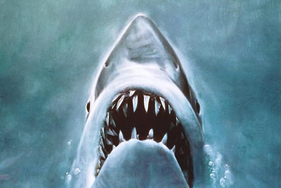 Roger Kastel, Painter of Iconic ‘Jaws’ Poster, Dies