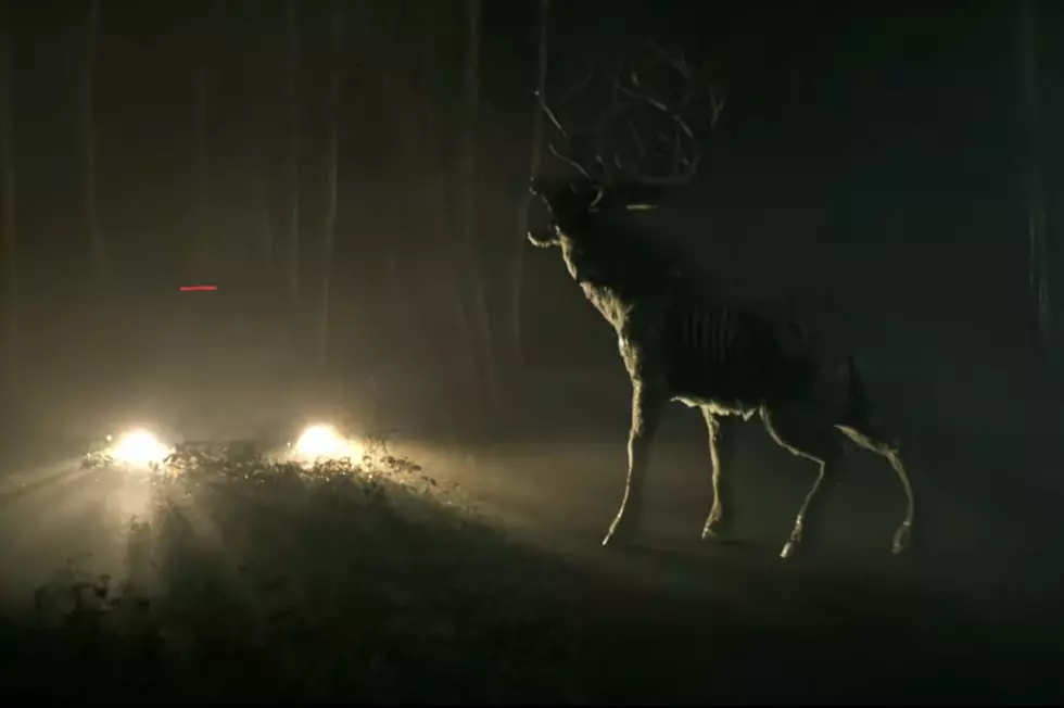 There Is Now a ‘Bambi’ Horror Movie