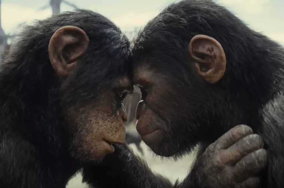 ‘Planet of the Apes’ Recap: What to Know Before ‘Kingdom’