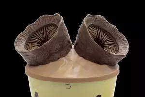 ‘Dune 3’s Popcorn Bucket Is Even Crazier Than ‘Dune 2’s