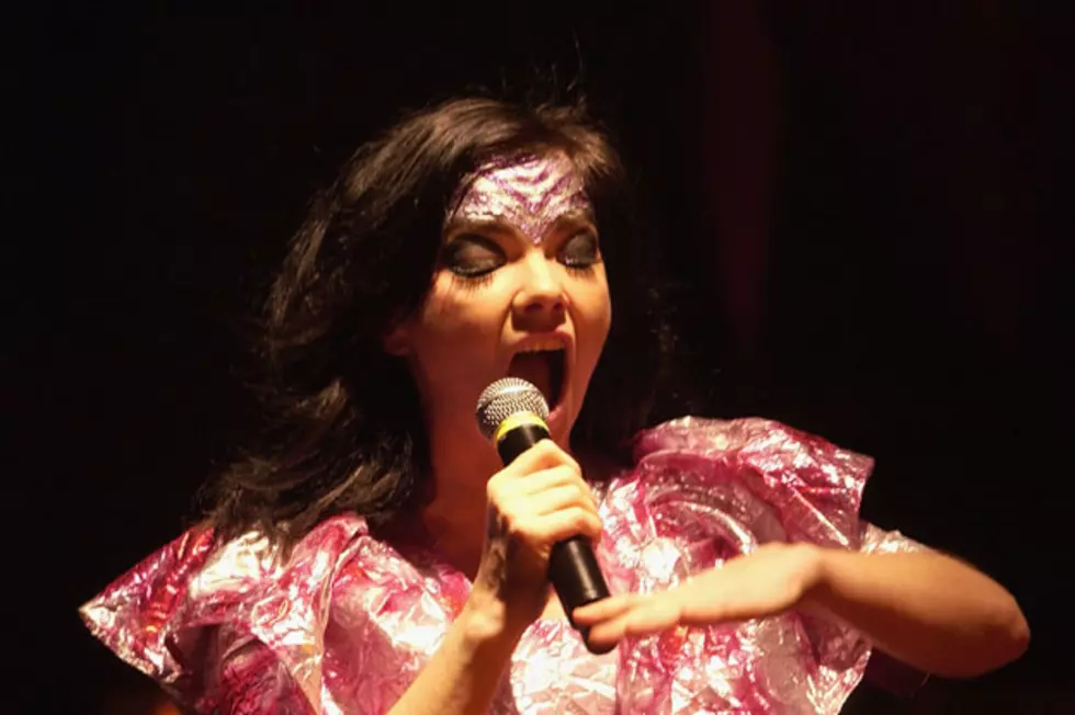 Bjork Calls Off Festival Gigs Due to Ongoing Vocal Issues