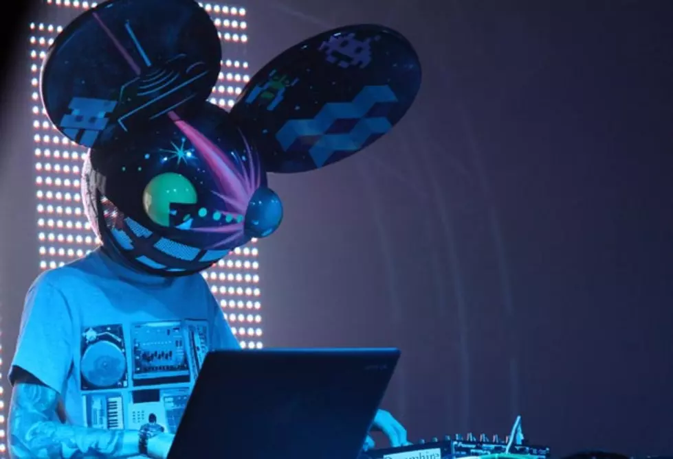 What Does Deadmau5 Request for His Tour Rider?