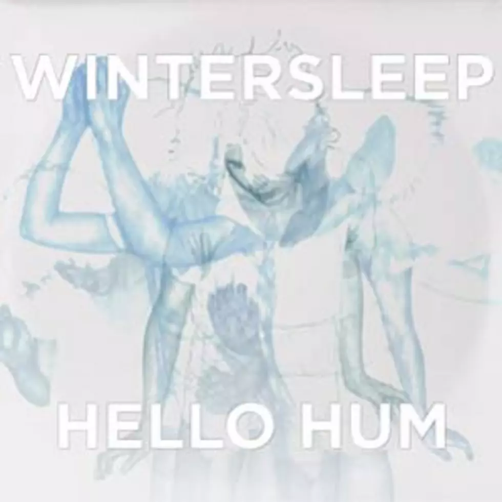 Wintersleep, &#8216;Hello Hum&#8217; &#8211; Album Review