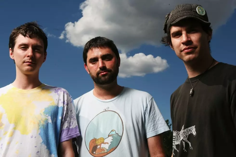 Animal Collective Launching Weekly Internet Radio Program