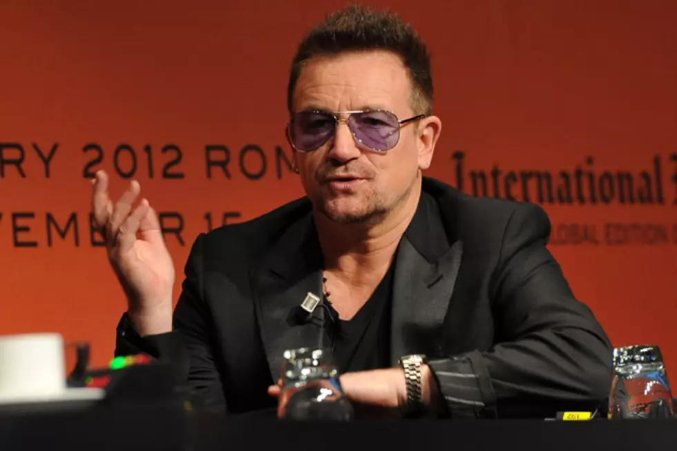 New Spider Species Named After Bono