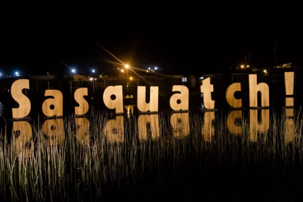 Sasquatch! Music Festival 2013 Photo Recap
