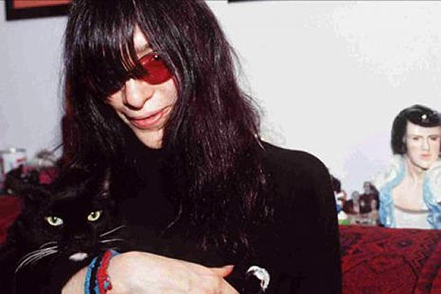 rock stars with cats