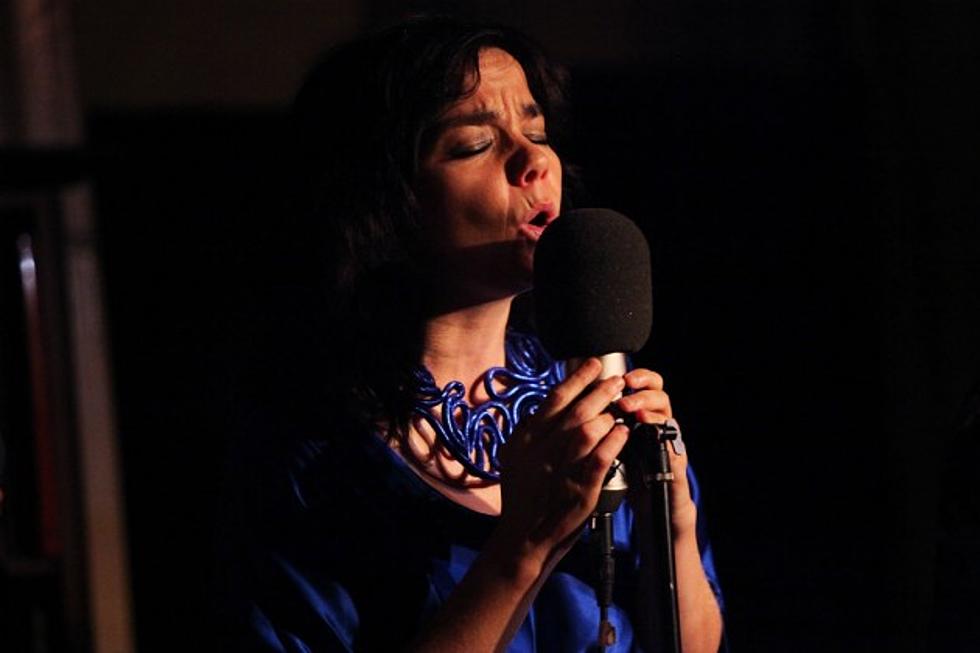 Bjork’s ‘Vulnicura’ Leaks Online Two Months Ahead of Its Official Release