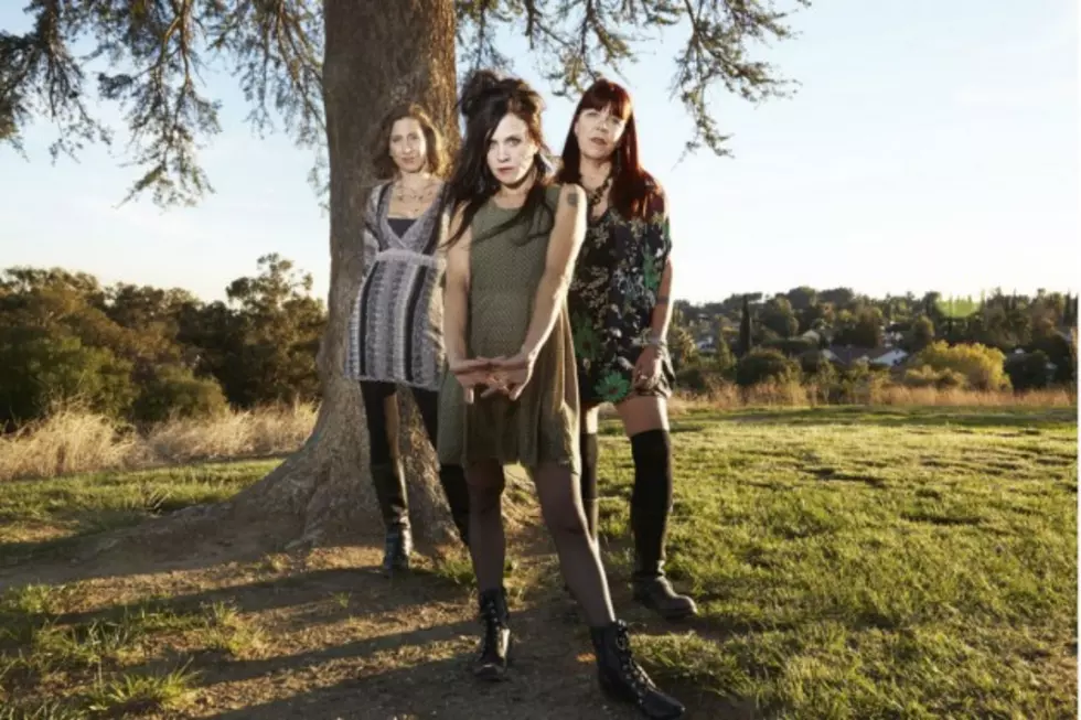 Babes in Toyland Announce North American Reunion Tour