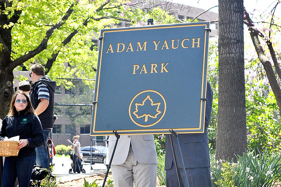 Adam Yauch Park Vandalized by Swastikas and Pro-Donald Trump Graffiti