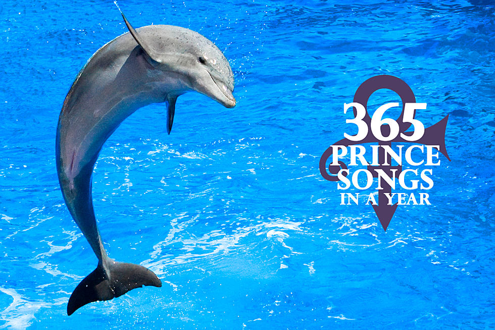 Prince Wants to Come Back as a &#8216;Dolphin': 365 Prince Songs in a Year