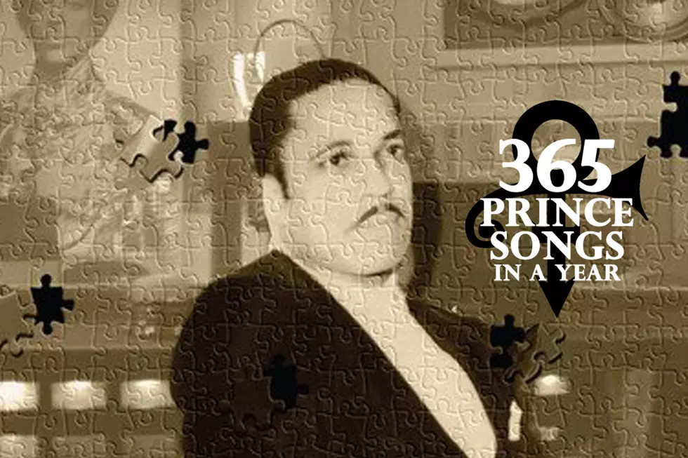 John L. Nelson Gets His Closeup: 365 Prince Songs in a Year