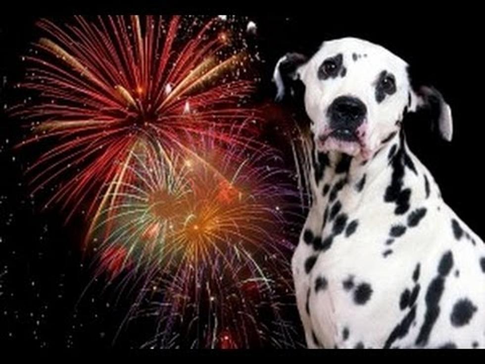 Shooting Fireworks Tonight at Your Place?  Watch Out For Your Dog (video)