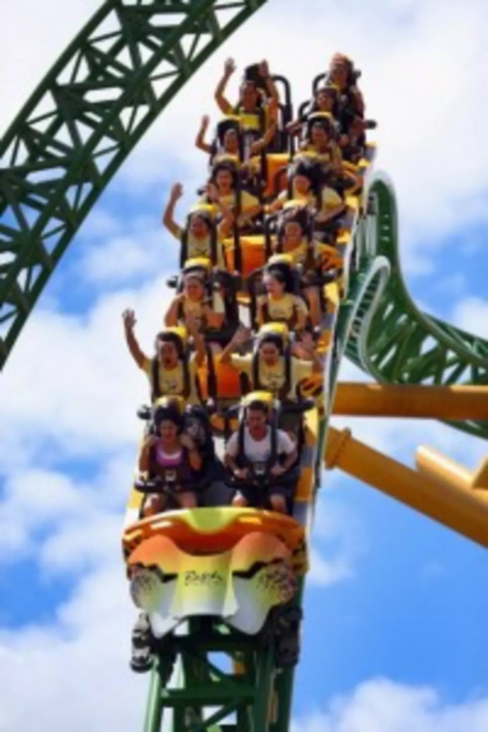 Grandma Goes on Roller Coaster and Loves it  [VIDEO]