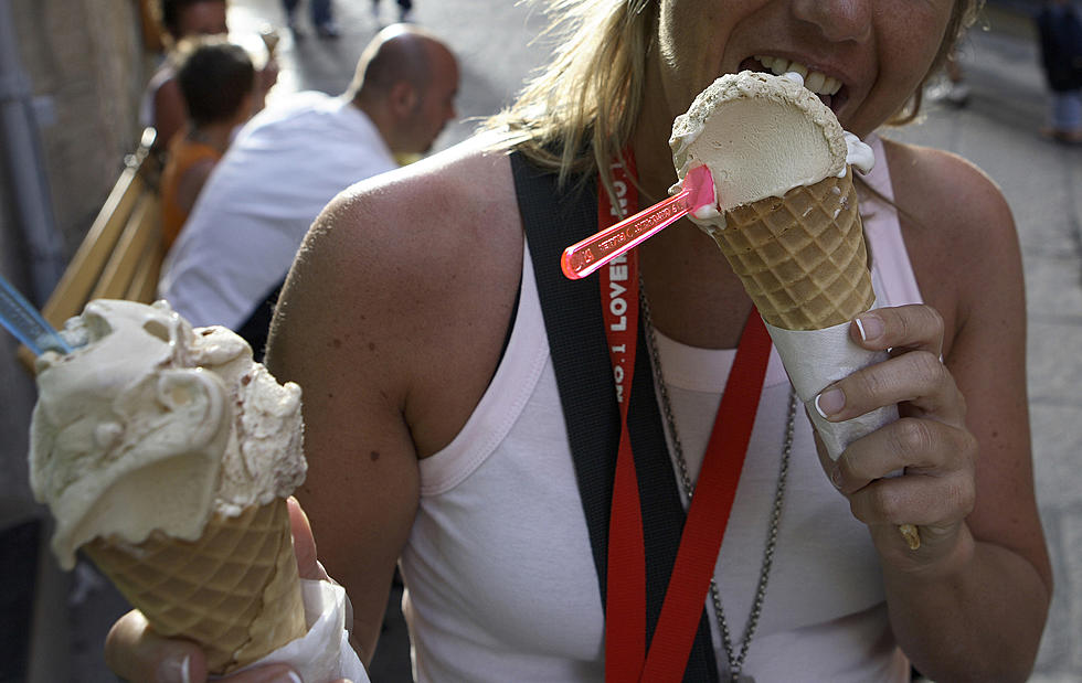 Help Choose Hudsonville Ice Cream's New Flavor