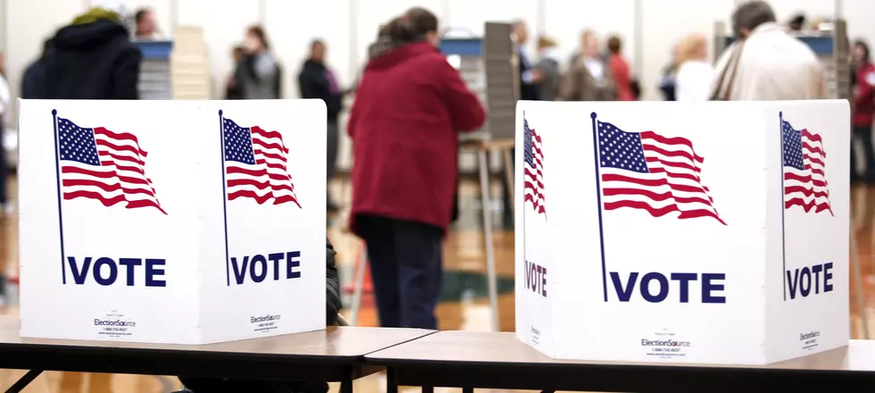 Don’t Let Ugly National Election Keep You From Voting in MI Primary on Tuesday
