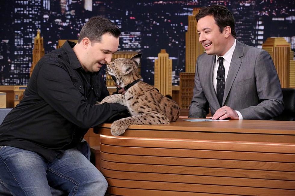 Jeff ‘The Animal Guy’ Musial Takes His Siberian Lynx on ‘Jimmy Fallon’ [Video]