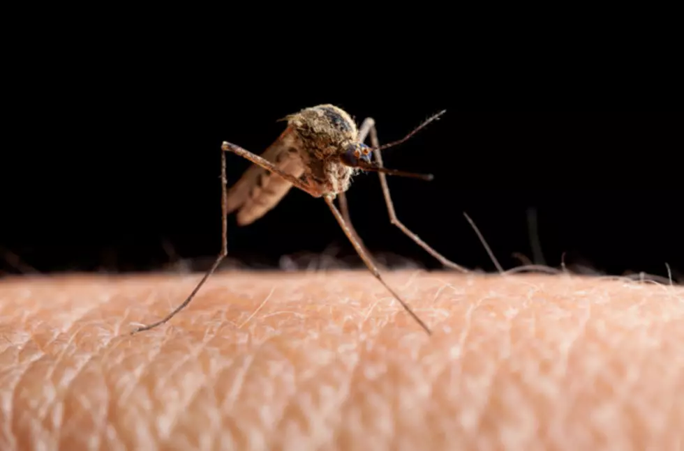 West Nile Hits Michigan