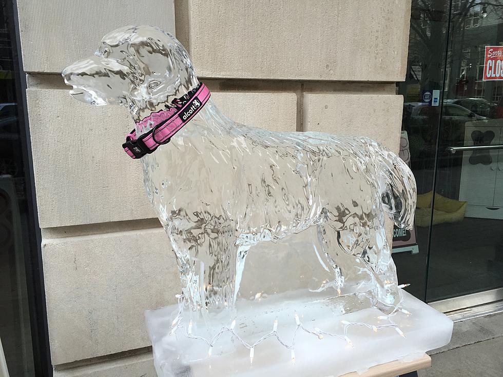 Over 40 Ice Sculptures in Grand Rapids for Valent-ICE [Photos]