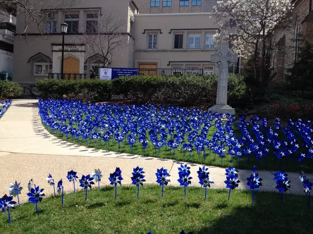 Pinwheel Garden is Beautiful at St. Mark&#8217;s Church in Downtown Grand Rapids