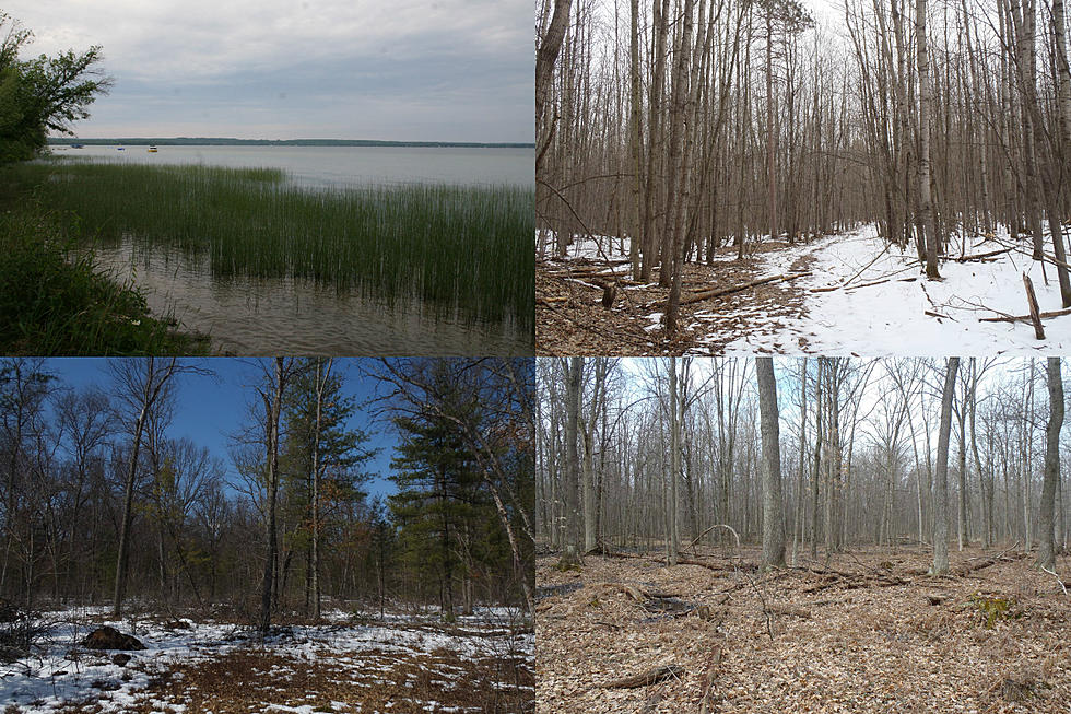 Michigan DNR Auctioning Land [Photos]