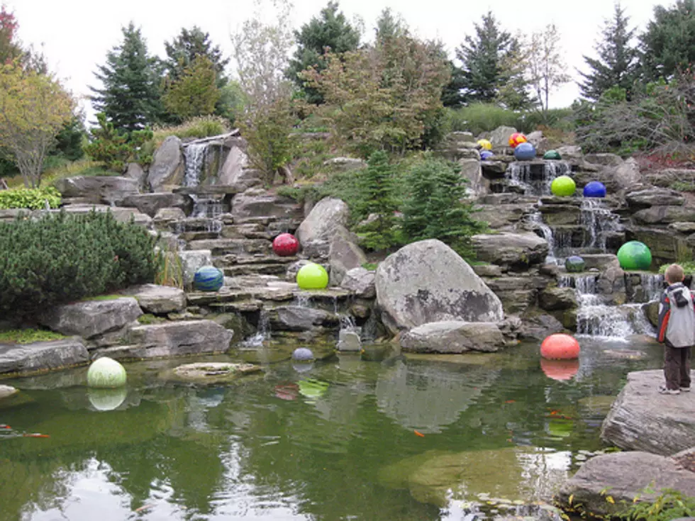 Frederik Meijer Gardens Anese Garden Is One Year Old And